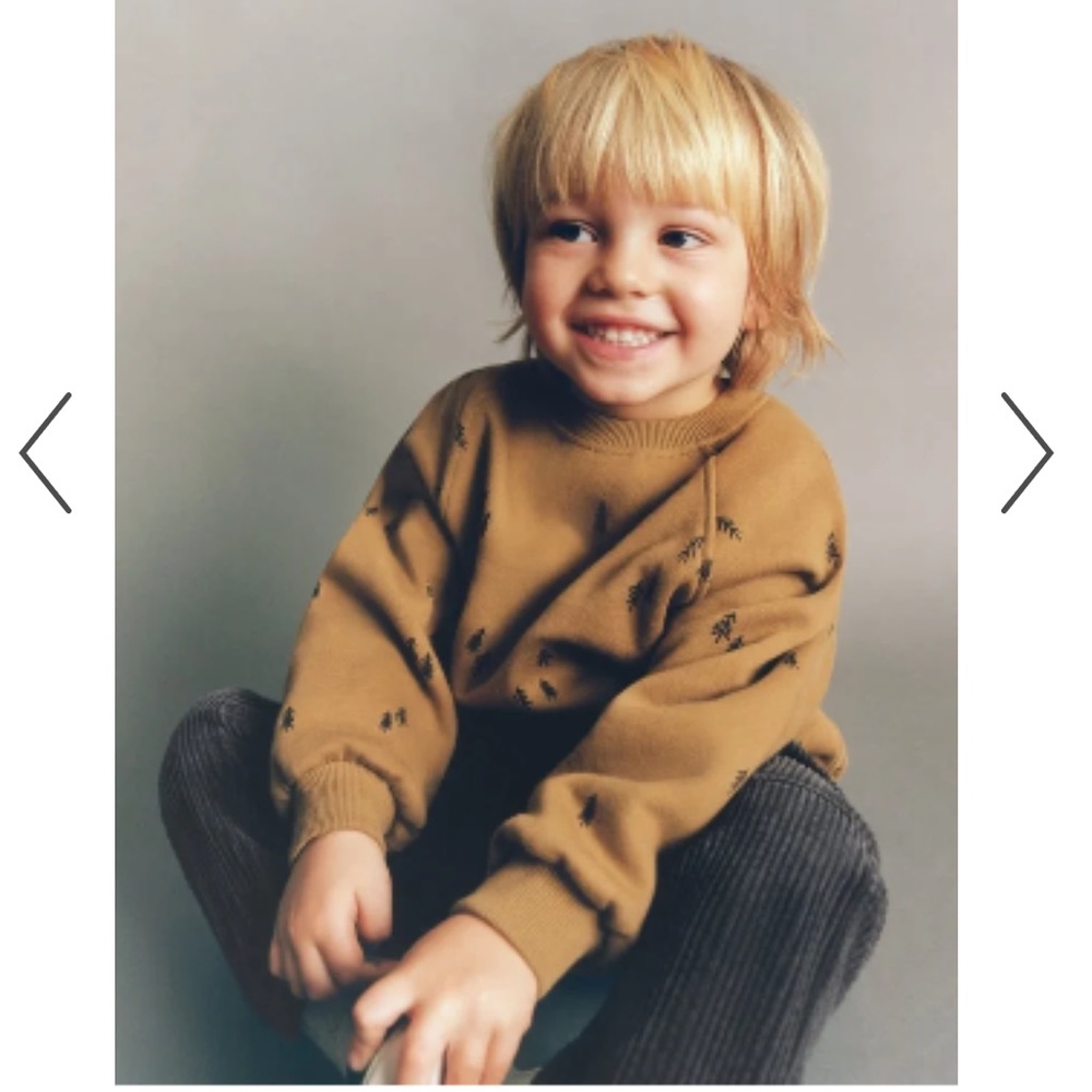 Zara Sweatshirt with Trees